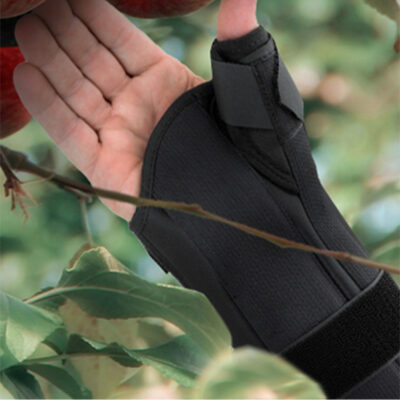 Orthopedic Products